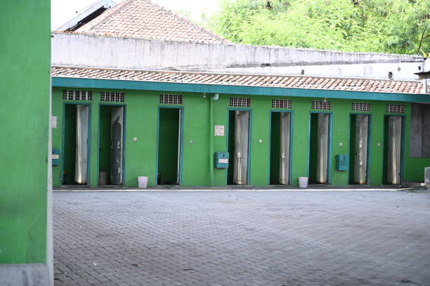 Best Portable restroom solutions  in Mked Tree, AR